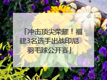 冲击顶尖荣耀！福建3名选手出战印尼羽毛球公开赛