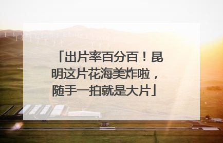 出片率百分百！昆明这片花海美炸啦，随手一拍就是大片