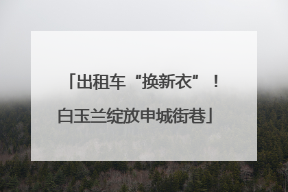 出租车“换新衣”！白玉兰绽放申城街巷