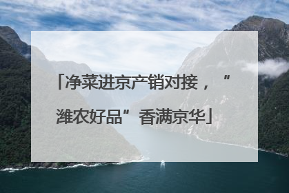 净菜进京产销对接，“潍农好品”香满京华