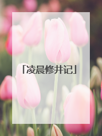 凌晨修井记