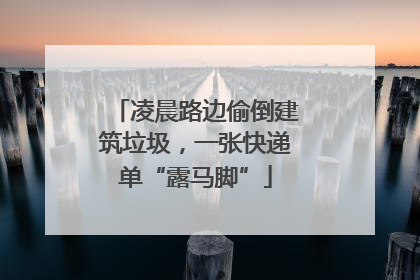 凌晨路边偷倒建筑垃圾，一张快递单“露马脚”