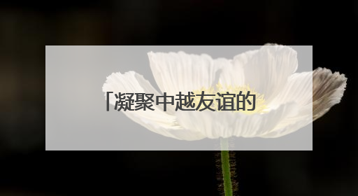 凝聚中越友谊的青春力量——越南青年“红色研学之旅”见闻