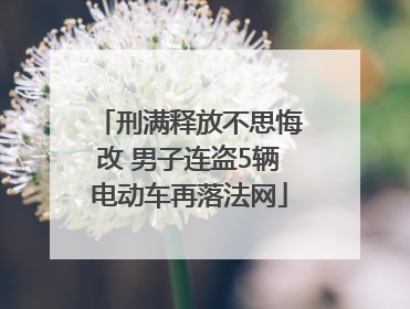 刑满释放不思悔改 男子连盗5辆电动车再落法网