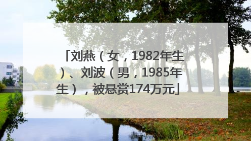 刘燕（女，1982年生）、刘波（男，1985年生），被悬赏174万元