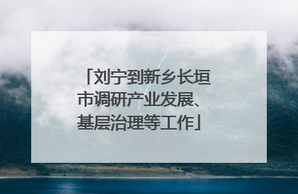 刘宁到新乡长垣市调研产业发展、基层治理等工作