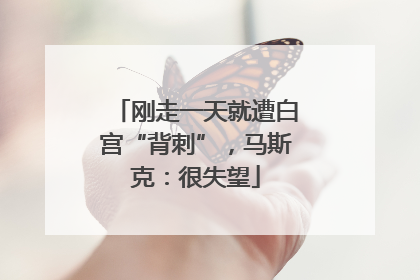 刚走一天就遭白宫“背刺”，马斯克：很失望