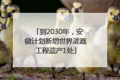 到2030年，安徽计划新增世界灌溉工程遗产1处