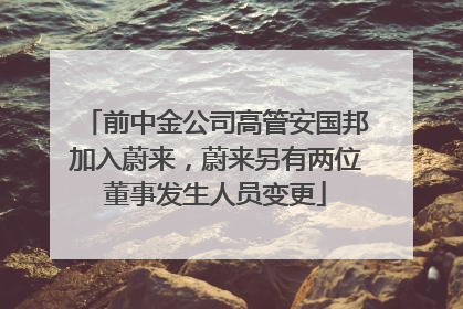 前中金公司高管安国邦加入蔚来，蔚来另有两位董事发生人员变更