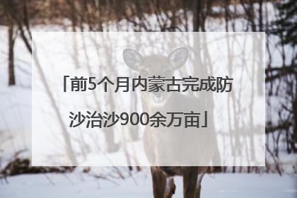 前5个月内蒙古完成防沙治沙900余万亩