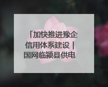 加快推进豫企信用体系建设｜国网临颍县供电公司开展电力行业信用企业现场咨询访谈工作