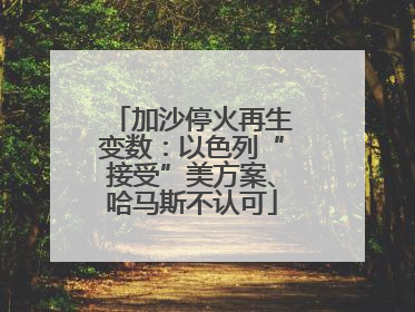 加沙停火再生变数：以色列“接受”美方案、哈马斯不认可