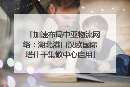 加速布局中亚物流网络：湖北港口汉欧国际塔什干集散中心启用