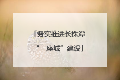 务实推进长株潭“一座城”建设