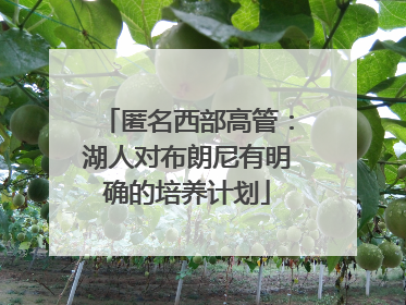 匿名西部高管：湖人对布朗尼有明确的培养计划