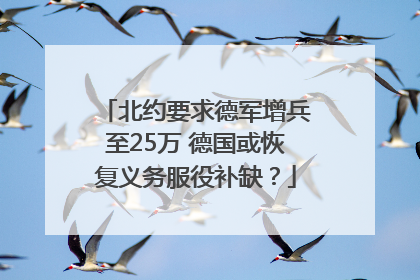 北约要求德军增兵至25万 德国或恢复义务服役补缺？
