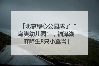 北京绿心公园成了“鸟类幼儿园”，福泽湖畔降生8只小鸳鸯