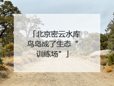 北京密云水库鸟岛成了生态“训练场”