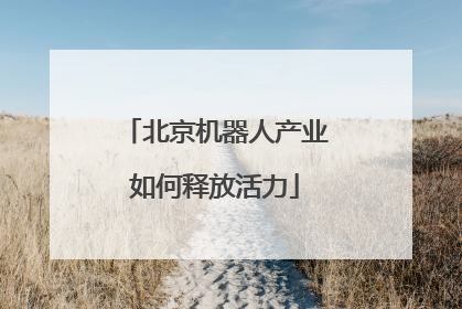 北京机器人产业如何释放活力
