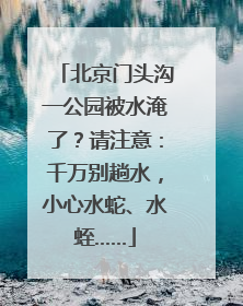 北京门头沟一公园被水淹了？请注意：千万别趟水，小心水蛇、水蛭……