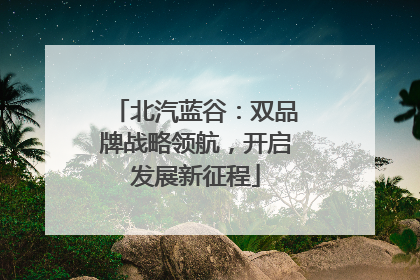 北汽蓝谷：双品牌战略领航，开启发展新征程