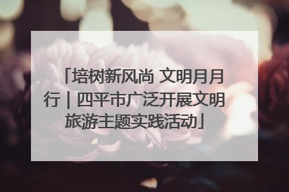培树新风尚 文明月月行｜四平市广泛开展文明旅游主题实践活动
