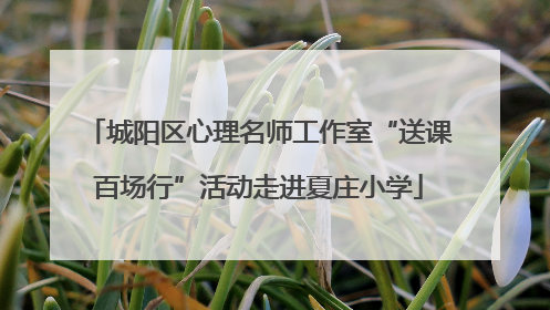 城阳区心理名师工作室“送课百场行”活动走进夏庄小学