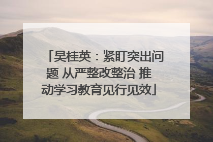 吴桂英：紧盯突出问题 从严整改整治 推动学习教育见行见效