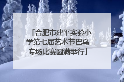 合肥市建平实验小学第七届艺术节巴乌专场比赛圆满举行