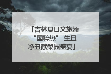 吉林夏日文旅添“国粹热” 生旦净丑献梨园盛宴