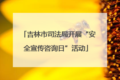 吉林市司法局开展“安全宣传咨询日”活动