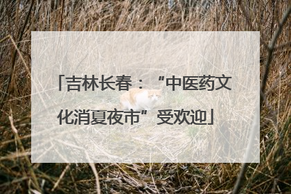 吉林长春：“中医药文化消夏夜市”受欢迎