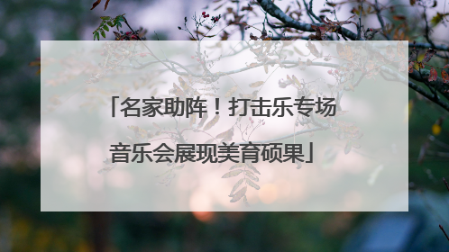 名家助阵！打击乐专场音乐会展现美育硕果