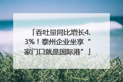吞吐量同比增长4.3%！泰州企业坐享“家门口就是国际港”