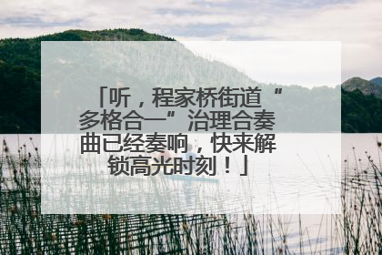 听，程家桥街道“多格合一”治理合奏曲已经奏响，快来解锁高光时刻！