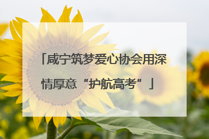 咸宁筑梦爱心协会用深情厚意“护航高考”