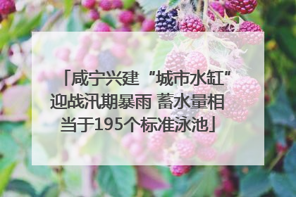 咸宁兴建“城市水缸”迎战汛期暴雨 蓄水量相当于195个标准泳池
