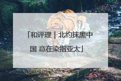 和评理｜北约抹黑中国 意在染指亚太