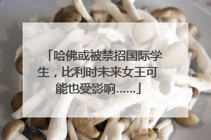 哈佛或被禁招国际学生，比利时未来女王可能也受影响……