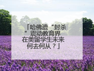 哈佛遭“封杀”震动教育界 在美留学生未来何去何从？