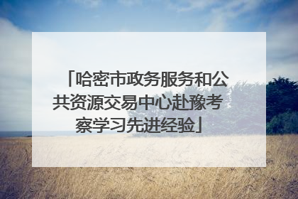 哈密市政务服务和公共资源交易中心赴豫考察学习先进经验