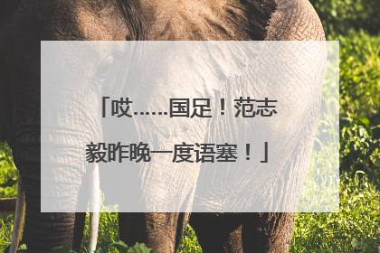 哎……国足！范志毅昨晚一度语塞！