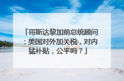 哥斯达黎加前总统顾问：美国对外加关税，对内猛补贴，公平吗？