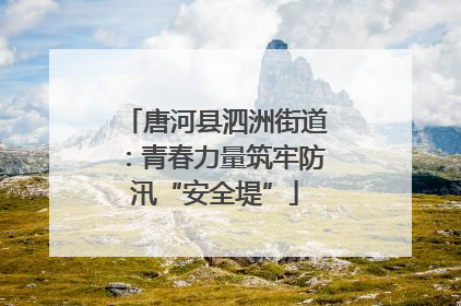 唐河县泗洲街道：青春力量筑牢防汛“安全堤”