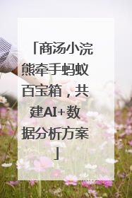商汤小浣熊牵手蚂蚁百宝箱，共建AI+数据分析方案