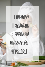 商视界丨柘城县：容湖湿地葵花竞相绽放