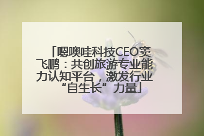 嗯噢哇科技CEO窦飞鹏：共创旅游专业能力认知平台，激发行业“自生长”力量
