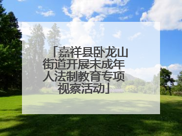 嘉祥县卧龙山街道开展未成年人法制教育专项视察活动