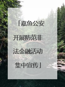 嘉鱼公安开展防范非法金融活动集中宣传
