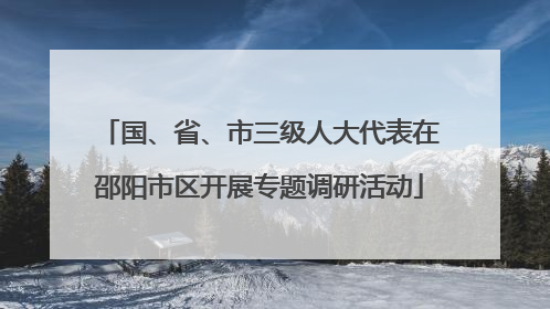 国、省、市三级人大代表在邵阳市区开展专题调研活动